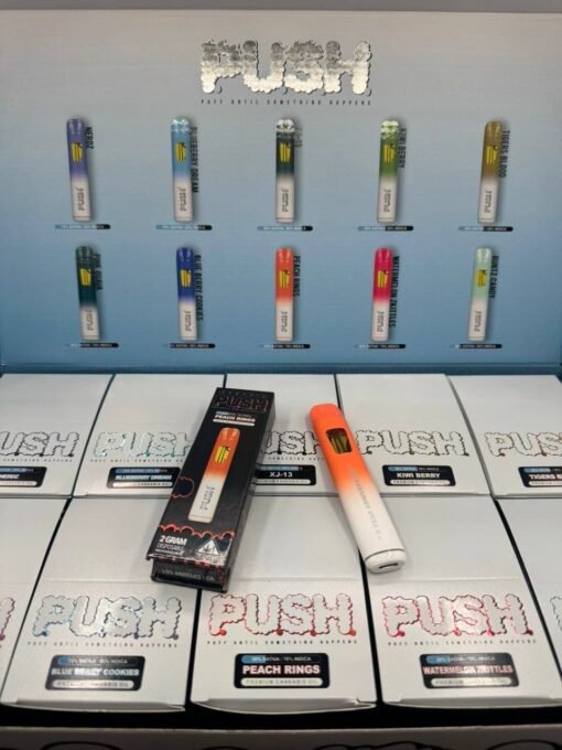 PUSH Disposable