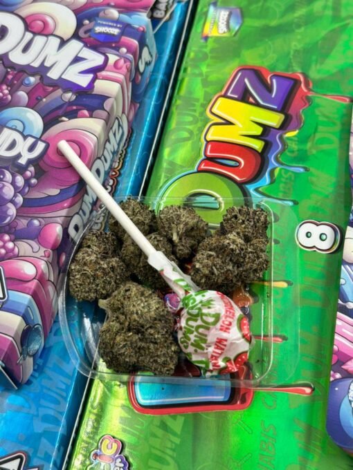 DUM DUMZ EXOTIC FLOWER