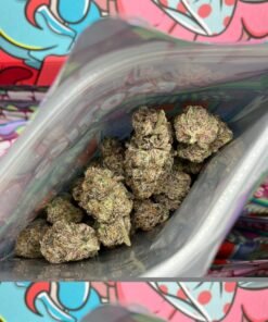 Sweetz Exotics