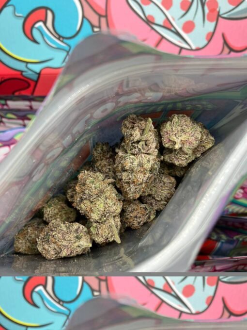 Sweetz Exotics