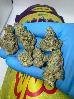 Drooler Strain