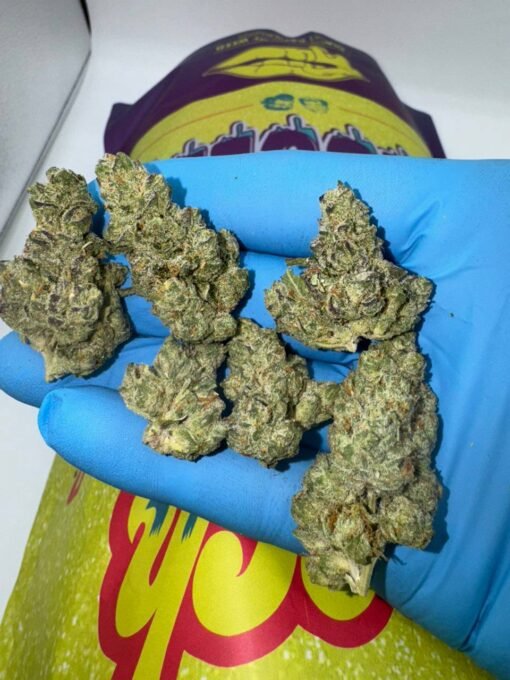 Drooler Strain