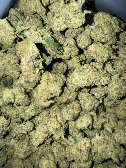 Cap Junky