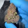 The Farms Tropical Cherries Strain