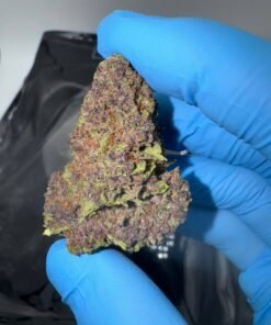 The Farms Tropical Cherries Strain
