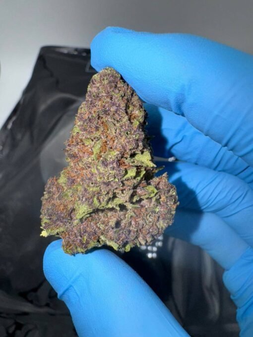 The Farms Tropical Cherries Strain