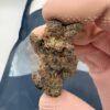 GROWN ROGUE Candy Rain strain