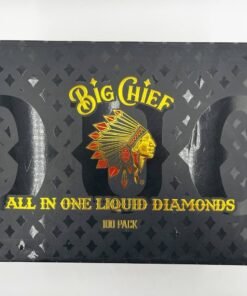Big Chief Duo 2g Disposable