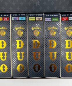 Big Chief Duo 2g Disposable