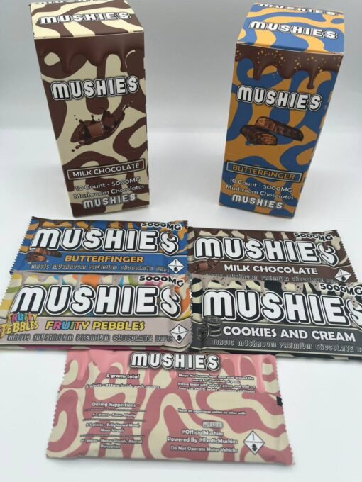 5g Mushies Mushroom Chocolate