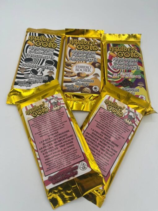 Natures Gold 4g Mushroom Chocolate