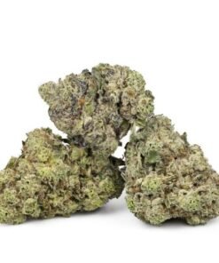 Donkey Butter by Exotic Genetix