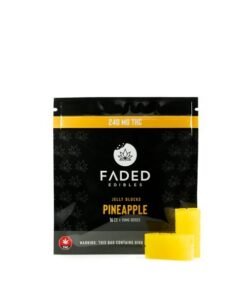 Faded Cannabis Co. Pineapple Jelly Blocks