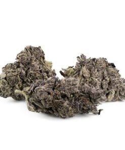 Garlic by Sensi Seeds