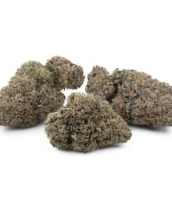 Ice Cream Cake (Bulk)