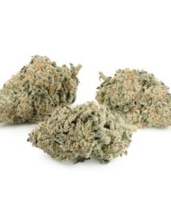 Where’s My Bike by Karma Genetics