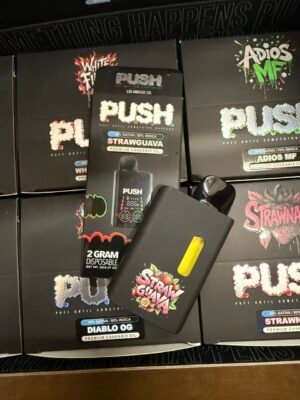 Push 2G Disposable With Screen